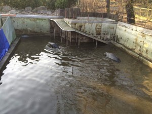 Sanace nádrže v ZOO Chomutov TESAN